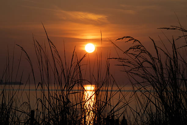 istock Sunrise on the beach 2228541451