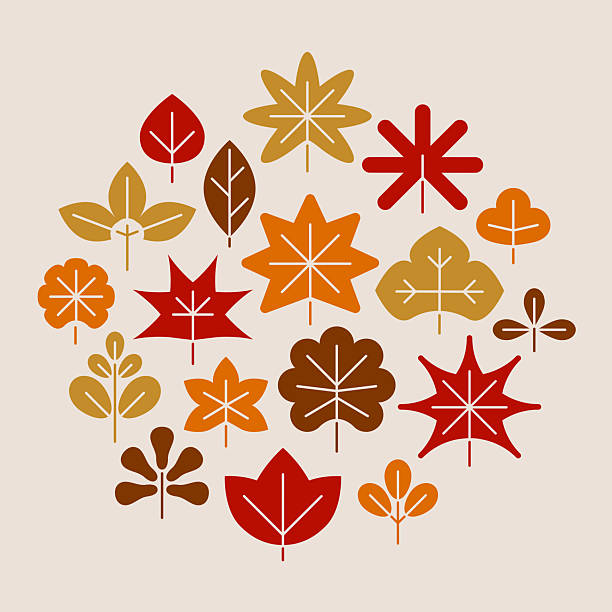 Autumn fall leaves pattern background. Leaf icons. Fall concept.