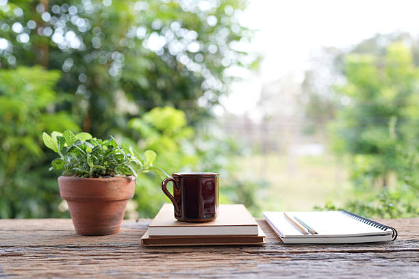istock Coffee mug and notebook, with potted Fittonia albivenis, 2228543680