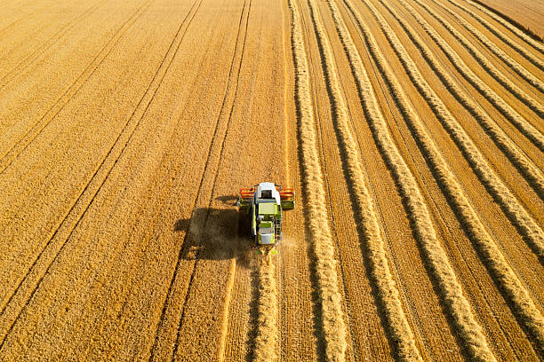 istock Combine harvester in grain field 2228545246