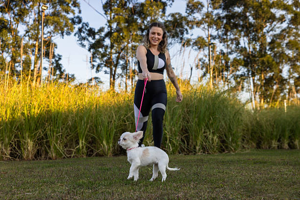 istock Woman walking her dog on a leash 2228549542