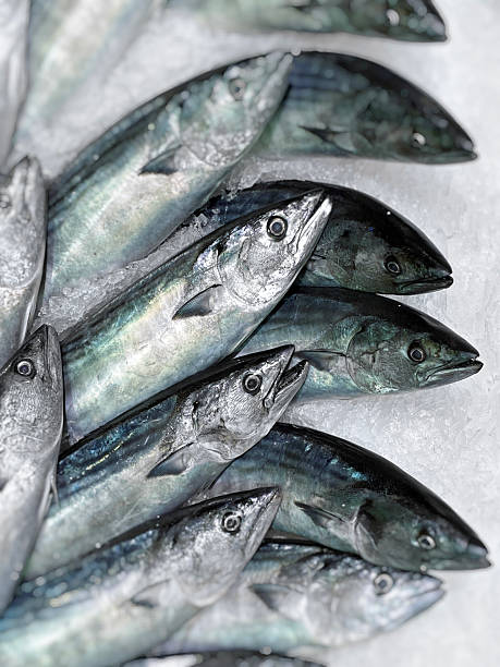 Raw fresh fishes