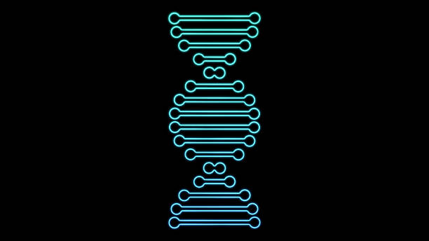 2D blue DNA Strand on black background, double helix nucleotide chain graphic assets, genetic sequence biotechnology, genome molecule, medical science technology research element