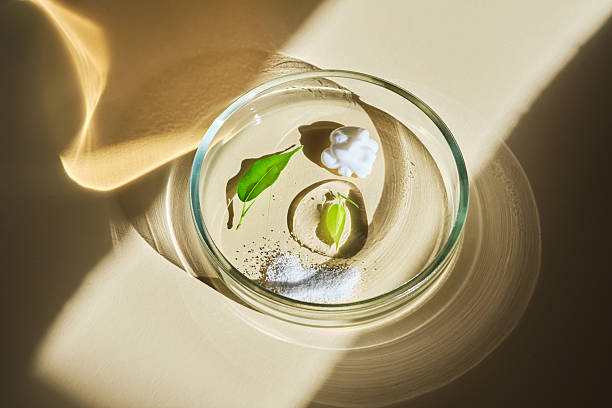 istock Various cosmetics in a petri dish on a beige background. 2228553218