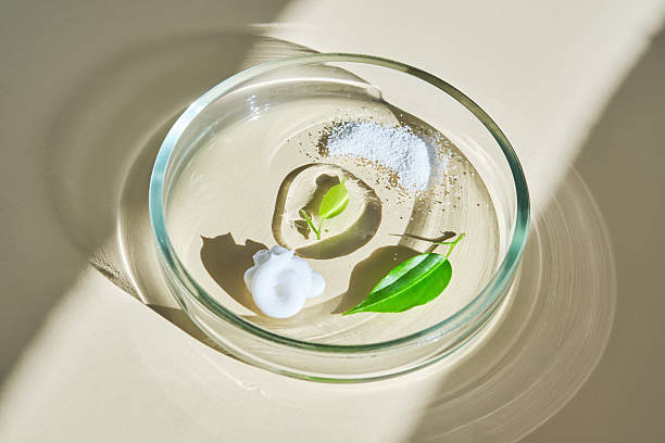 istock Various cosmetics in a petri dish on a beige background. 2228553269