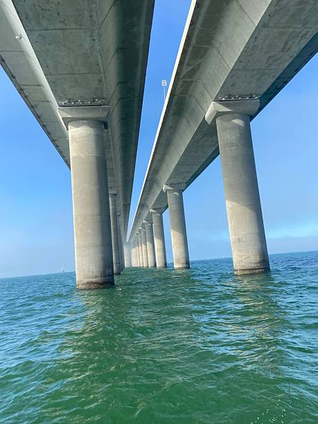 A dramatic perspective beneath the Sunshine Skyway Bridge in Tampa Bay, Florida. The symmetry of the massive concrete pillars stretches into the horizon over emerald-green water, capturing the strength and beauty of modern engineering. Perfect for travel, infrastructure, and architectural themes.