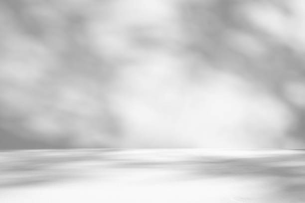 istock Abstract white studio room with light and shadow from window and tree leaves background for product display presentation 2228558830