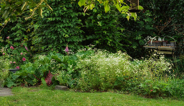 istock Lush summer garden with vibrant greenery and blooming flowers in a tranquil setting 2228559003