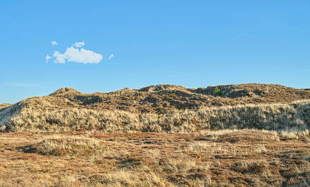 istock Panoramic view of sandy dunes and clear blue sky in Denmark 2228559022