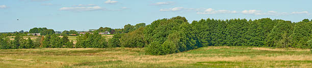 Capture of a peaceful Danish countryside during summer, showcasing green fields, dense trees, and clear skies. This image highlights the beauty of nature and the charm of rural Denmark.