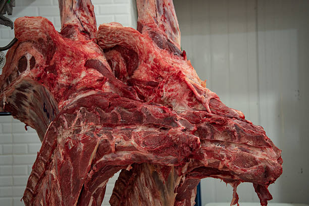 istock meat at the butcher's 2228564460