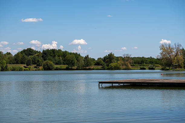 istock Peaceful Lake View with Pier and Forest in Summer 2228580636