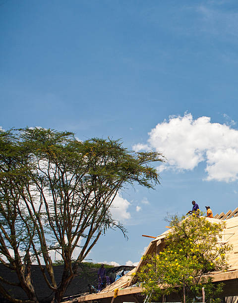 Workers build a wooden roof beneath the clear blue African sky, surrounded by vibrant trees and yellow flowers. This photo captures the harmony between traditional construction methods and the natural environment in a rural African setting.