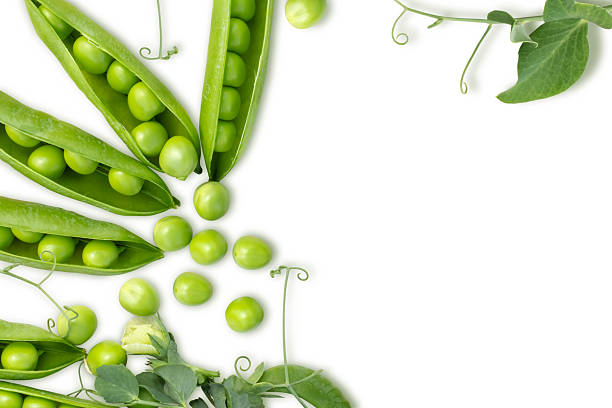 istock Fresh green peas in pods with leaves. 2228585534