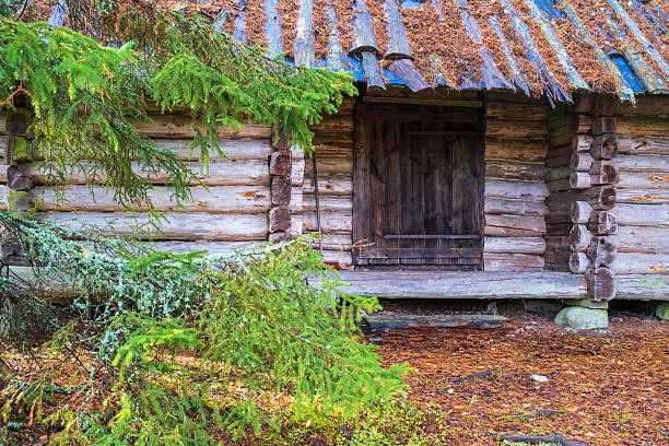 Old log cabin in the woods