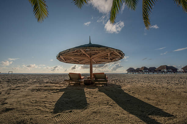 Tropical Paradise Beach Landscape