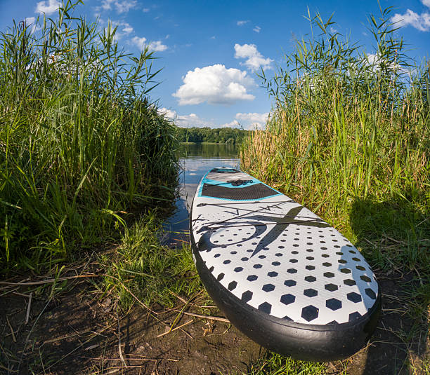 Woman paddling on a stand-up paddleboard