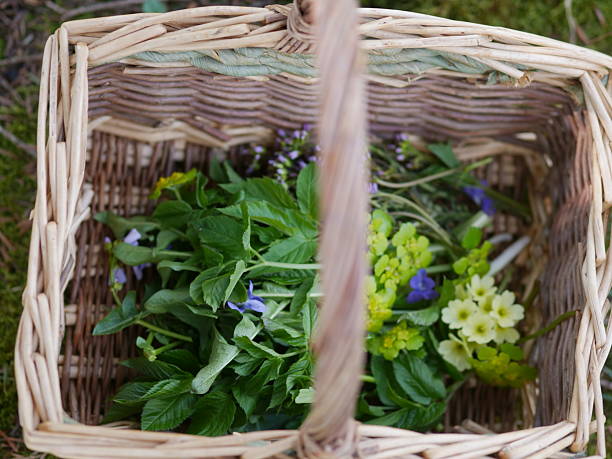 istock Basket filled with herbs and flowers 2228593595