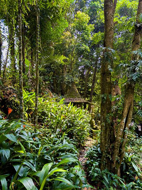 istock Hidden Shrine in a Lush Tropical Jungle 2228594415
