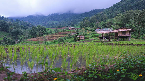 istock Wooden hut in greenery rice terraces on cloudy day 2228594561