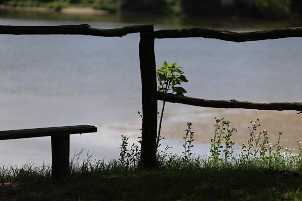 A peaceful view of the river with a bench and fence forming a geometric pattern.