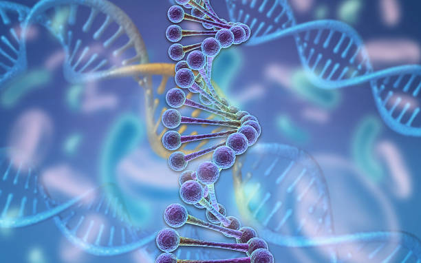 istock DNA, or deoxyribonucleic acid, double helix structure on scientific background. 2228595307