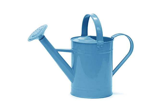 istock Blue watering can isolated on a white background 2228595377