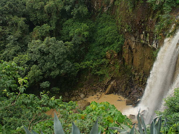 istock Tiger point waterfall chhattisgarh, India 2228596195
