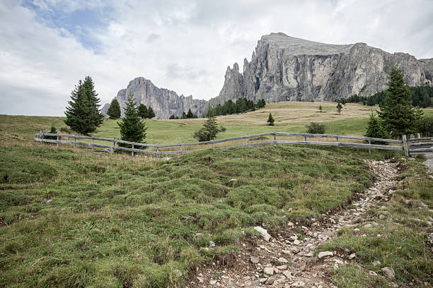 Wide pasture in Dolomites area in Italy