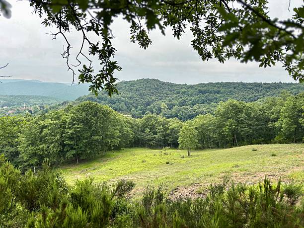 istock Lush Green Mountain Landscape in Spring 2228599203
