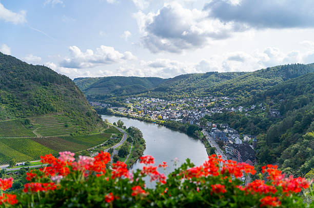 istock Beautiful river valley with red flowers in foreground, Moselle River winding through Cochem, Germany, surrounded by green hills and vineyards 2228600882