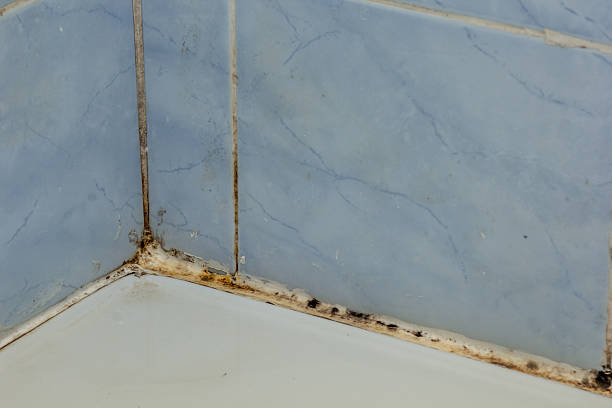 istock Black mold on seam in corner of bath and ceramic tile 2228601091
