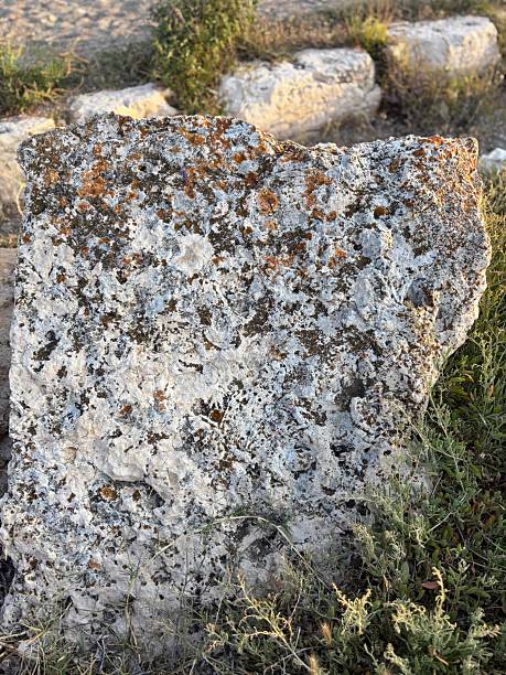 istock Close-up of a Lichen-Covered Stone at an Archeological Site 2228602084