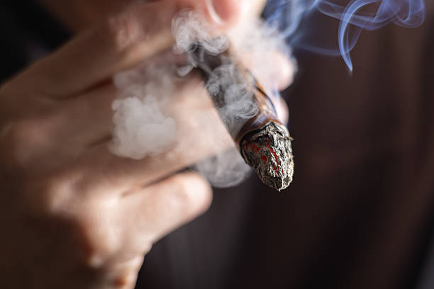 istock Man holding a cigar in his hand close-up 2228603345