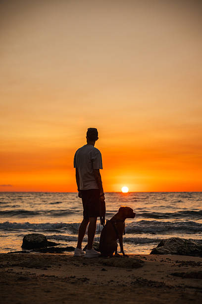 istock Man standing with his German Boxer dog on a sandy beach at sunset, both facing the ocean horizon, enjoying a calm evening together. 2228603882