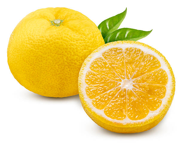 Yellow Yuzu orange isolated on white background With work path, Yellow Yuzu Orange fruit isolated on white background High resolution photography.