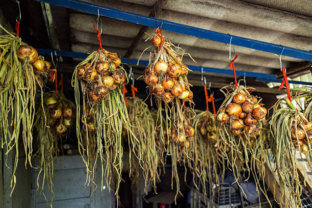 Onions and clementines packed in nets for sale at the supermarket