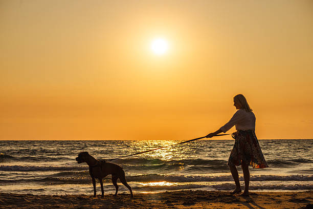 Woman pulling a dog on a leash while standing on the sandy beach during a glowing sunset. High quality photo