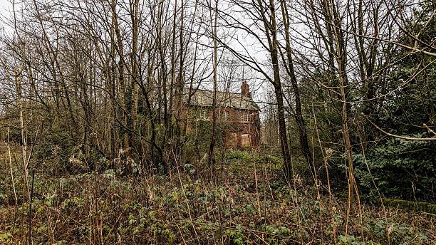 istock Hidden building view through overgrown vegetation and undergrowth. Bare branches, trees with autumn fallen leaves. Abandoned eerie woodlands house. Boarded up windows, deserted spooky old cottage. Creepy derelict home ruins in dense forest countryside. 2228605248