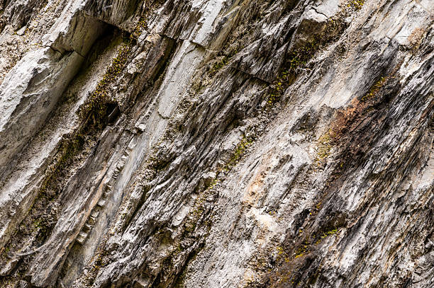 istock Moss on the mountain. Texture of stone 2228605659