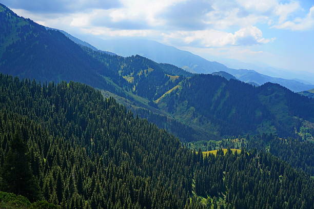 istock Ile-Alatau National Park. A mountain gorge with different vegetation. 2228609535