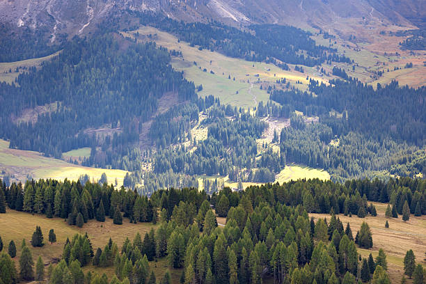 Alpe di Siusi, Italy aerial panoramic view with wooden cottages at Seiser Alm, Dolomite plateau in South Tyrol province in autumn