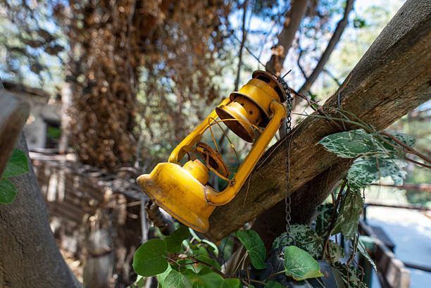 An old yellow oil lamp hanging from a tree branch.