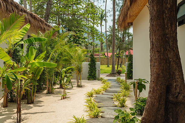 istock Pathway leading to tropical bungalow 2228613716
