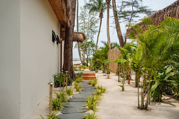 istock Pathway leading to a tropical bungalow 2228613733