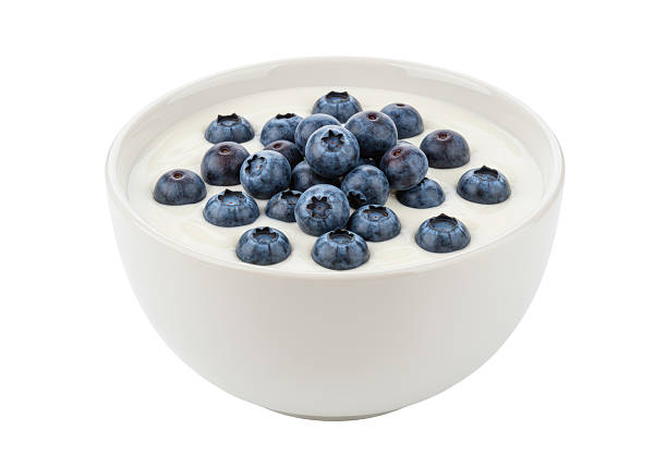 istock Isolated Bowl of Yogurt with Fresh Blueberries 2228616433