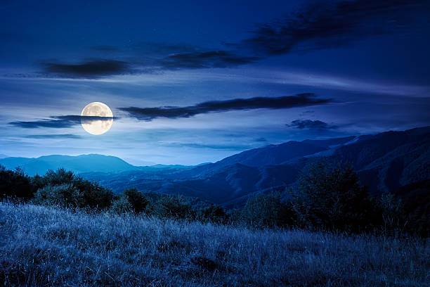 istock mountain landscape with forest on the hill in autumn at night 2228619600