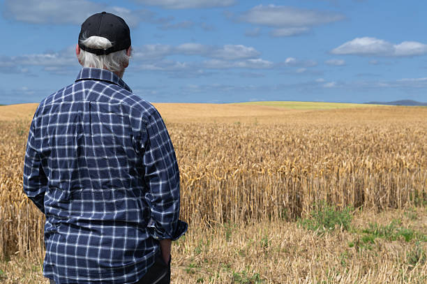istock Rear view of a farmer looking at a crop 2228621639