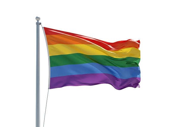 istock Isolated Waving Rainbow Pride Flag on Flagpole 2228622426
