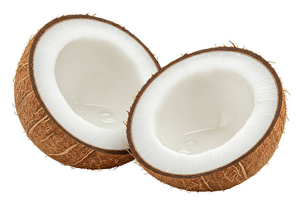 Isolated Halved Fresh Coconut Revealing White Flesh